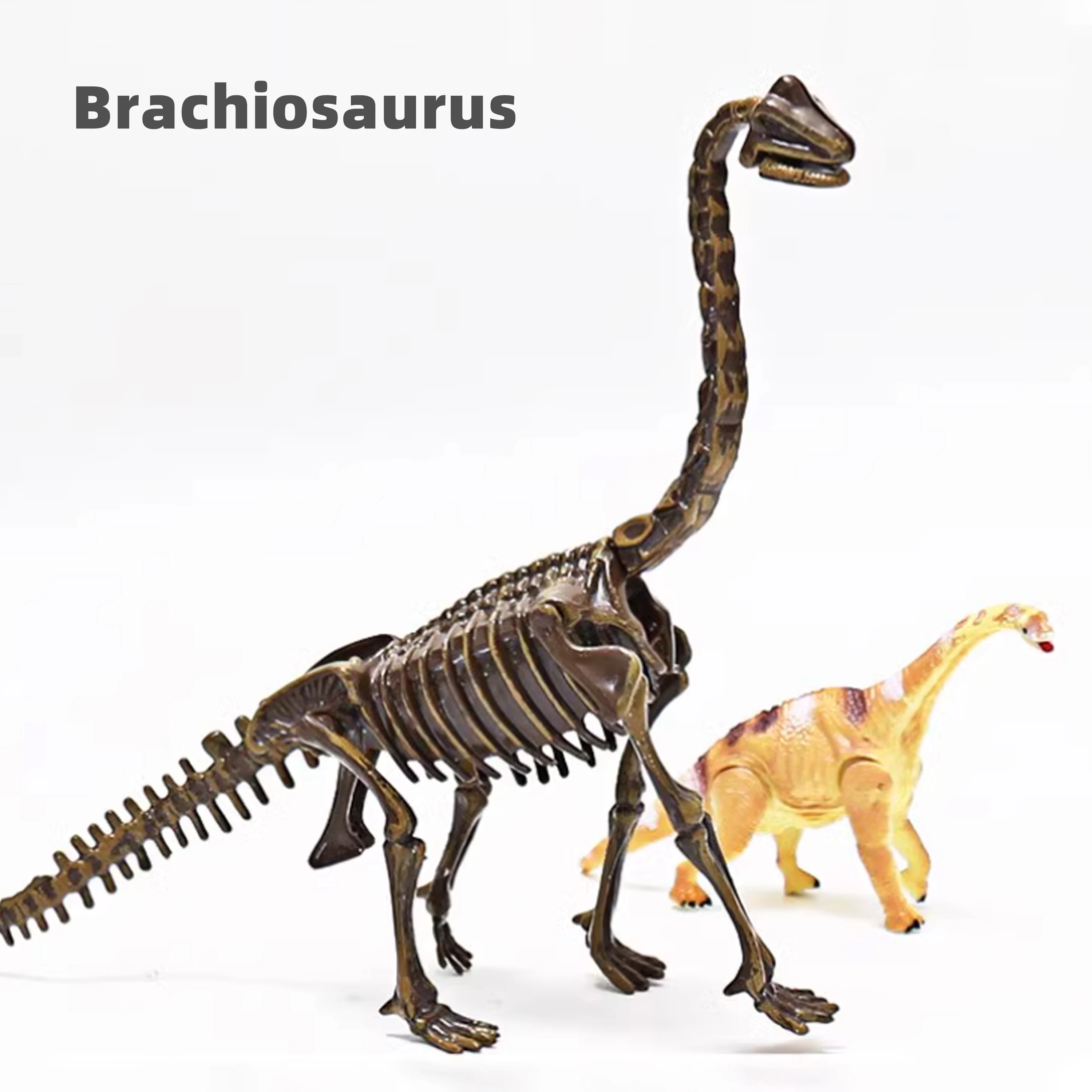 Brachiosaurus Dinosaur Fossil Excavation Toy Set with Tools&Finished Model&ndash;Great Educational STEM Gift for Kids, Top Selling Toy