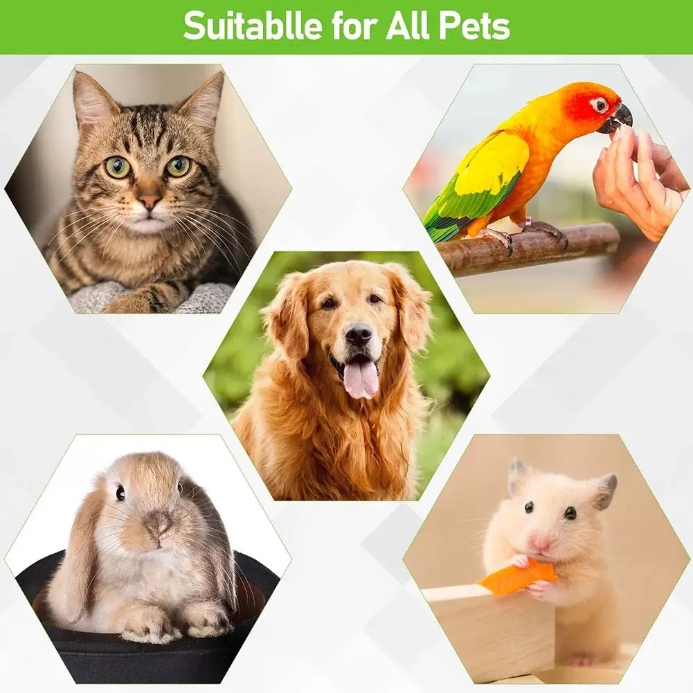LED Pet Nail Trimmer Safe Grinding Head Electric Nail Clipper For Cats And Dogs USB Charging Low Vibration And Noise Pet Groomin