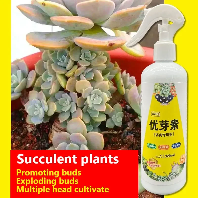 Root Stimulator Plant Fertilizer Sticks Plant Nutrient Solution Plant Compound Fertilizer Succulent Plant Eugenin Promotes Budding Dwarf Fat Prevents Leggy Organic Granules 320ml