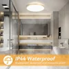 Super Waterpoor Led Ceiling Light Panel Bathroom Lights 30W Wall light led Light for Kitchen Bedroom Ultra thin Ceiling lamp 3