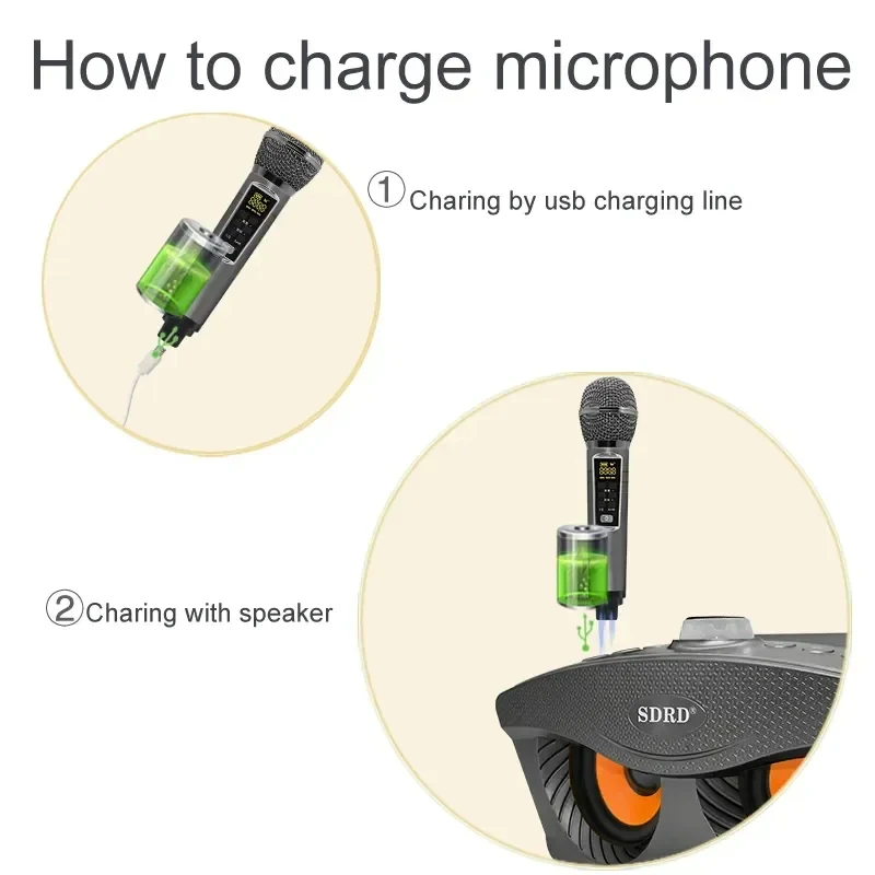 Cassa Karaoke Bluetooth Portatile Con 2 Microfoni Senza Fili - DSP, USB-C, Radio FM, Per Registrazione E Live Streaming - Foto 4