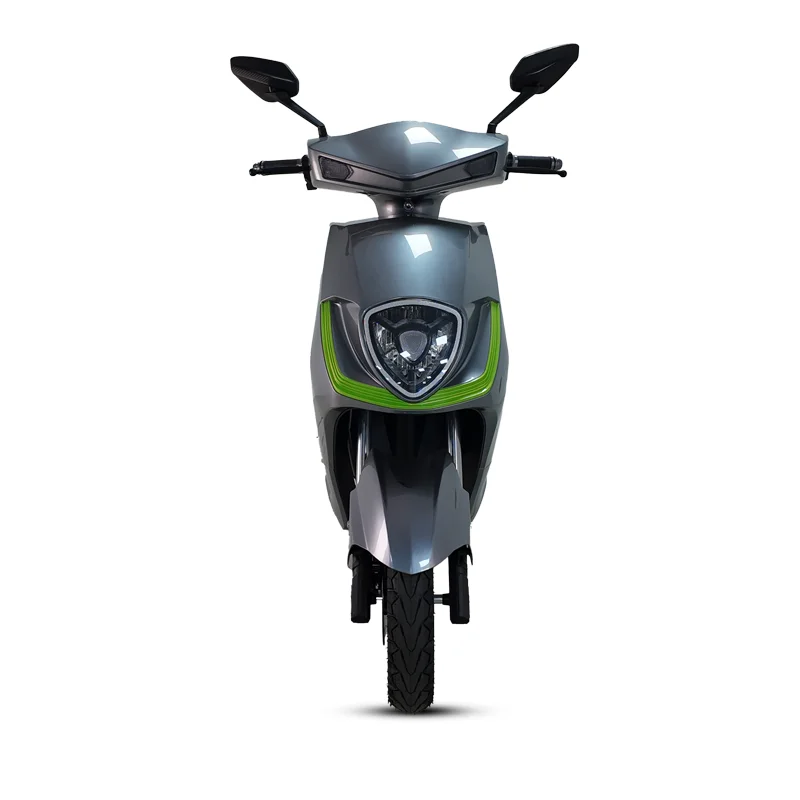 1000W High-Speed Electric Bicycle Motorcycle 2