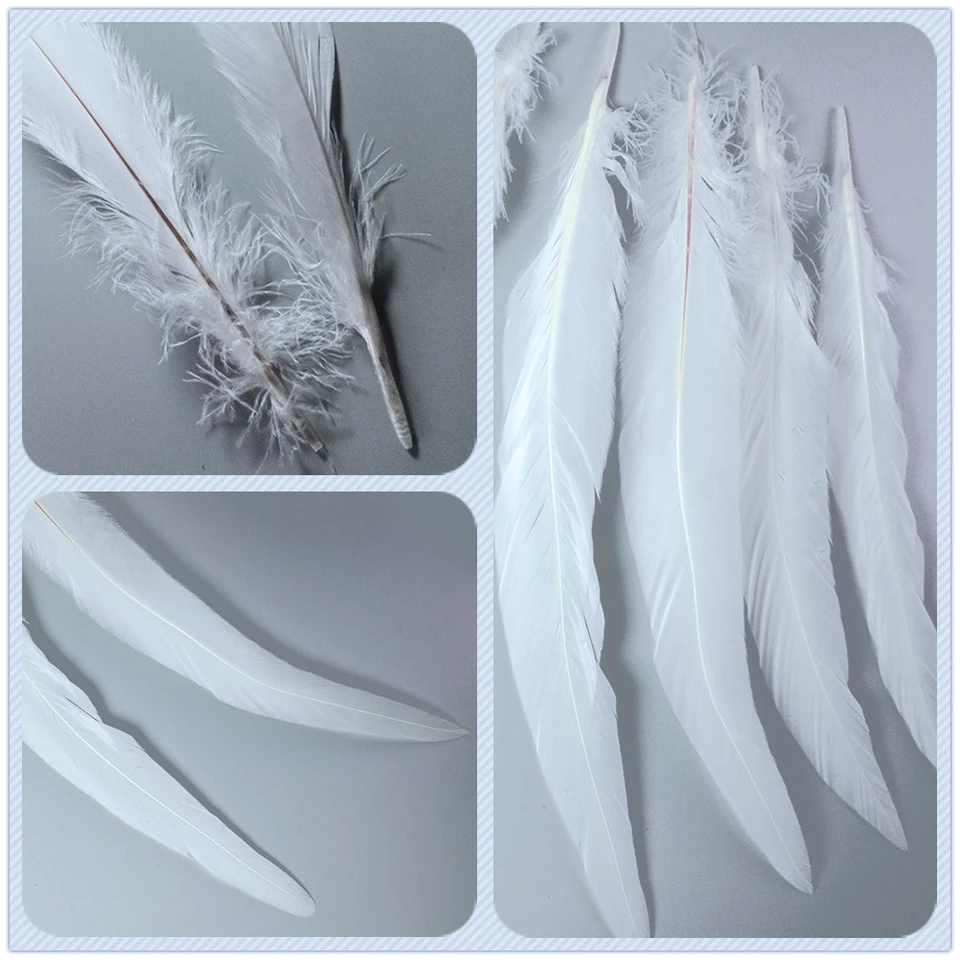 Piume Di Fagiano All'ingrosso Da 100 Pezzi - Piume Di Coda Lunghe - Foto 6