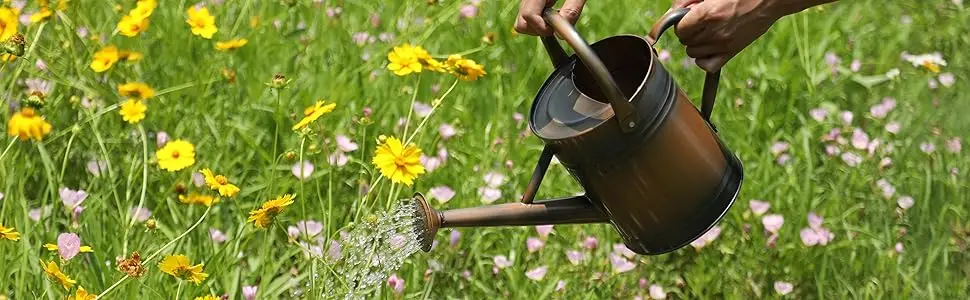 watering can outdoor