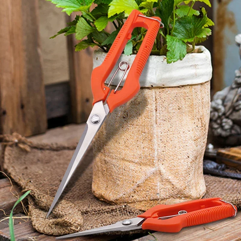 Pruning shears displayed on a white background