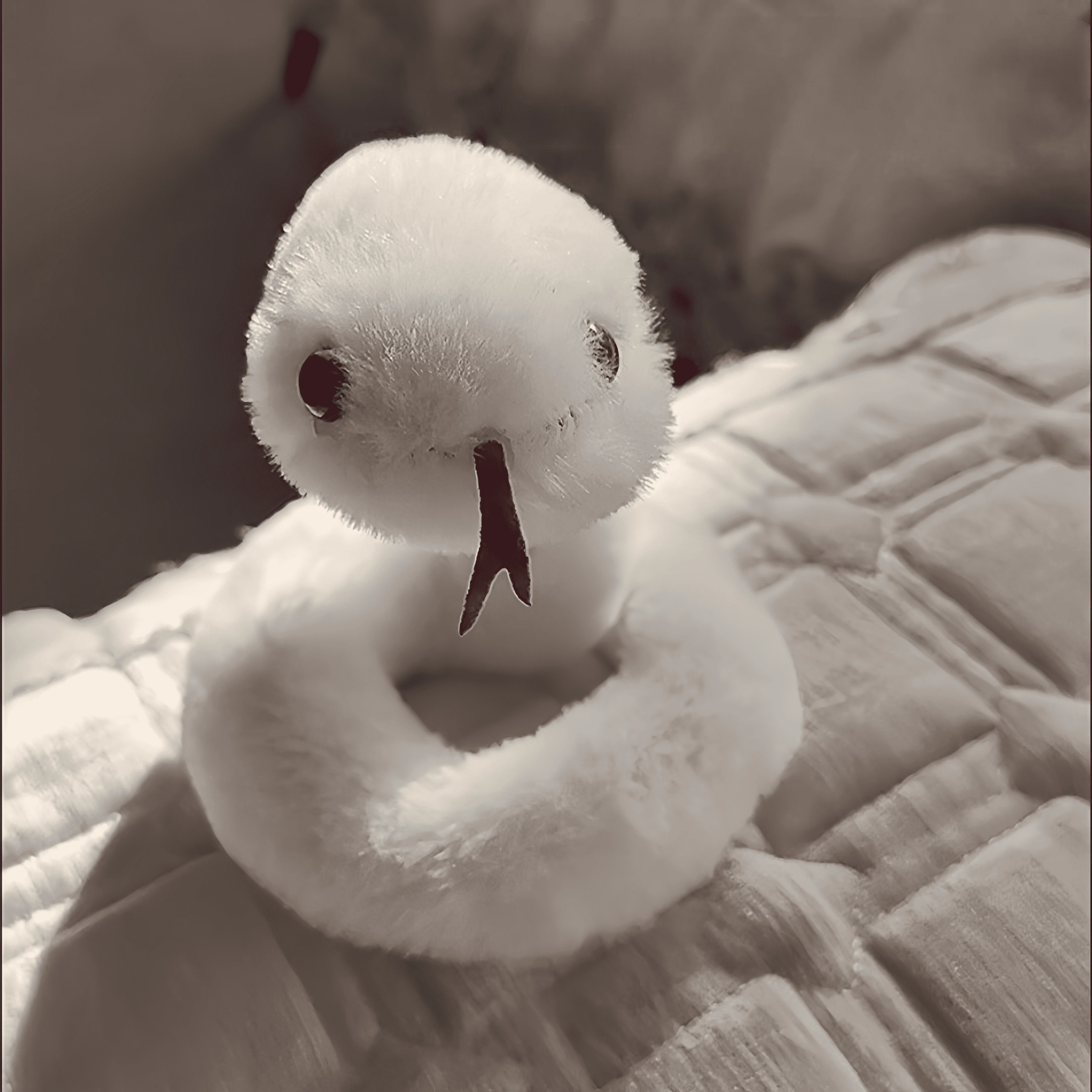 Year of The Snake 2025 Plush Toy New Creative Mascot Doll A plush Snake Toy Freely Concave and Convex Shapes Birthday Gifts