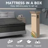 Queen Mattress,12 Inch Queen Size Mattress in A Box with Independent Pocket Spring,Memory Foam Hybrid Mattress,Pressure Reliving 5