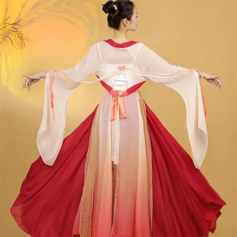 

Chinese Style Folk Dance Dress Classical Dancer Performance Costumes Elegant Practice Clothes Body Rhyme Chiffon Dnace Costume