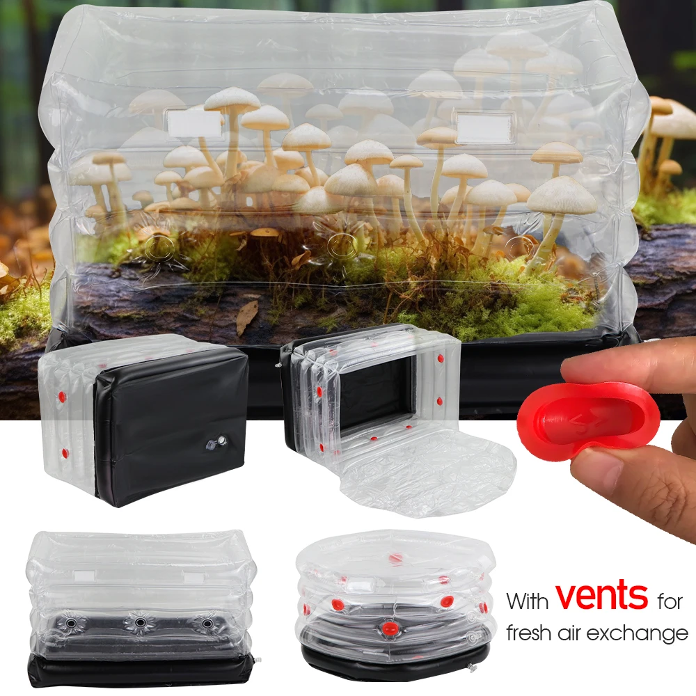 Startseite des Shops Produkte Bewertung