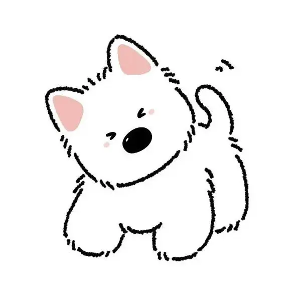 Shop1102937325 Store