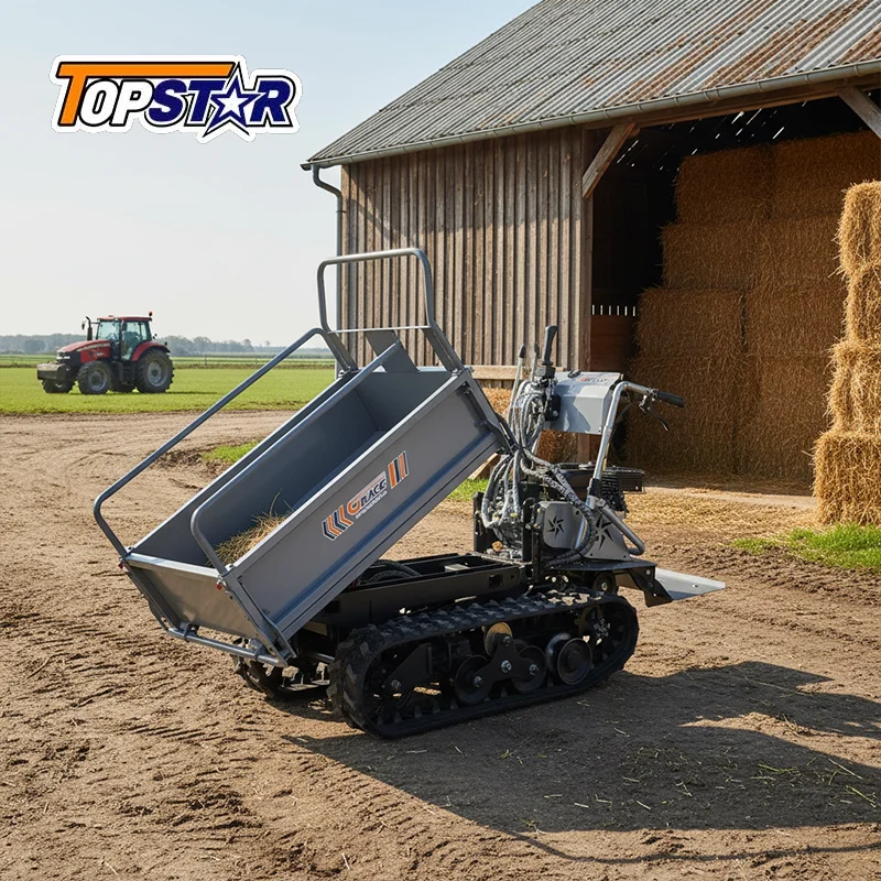 Raupenkipper Mini-Dumper 500kg EURO 5 EPA Schnelle Lieferung Hochwertige Mini-Dumper Fabrik Anpassbare Lieferung