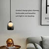 Modern Loft Glass Lustre Pendant Light LED Nordic Hanging Industrial Decor Lights Fixtures E27/E26 for Kitchen Restaurant Lamp 6