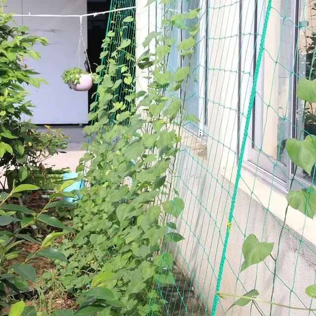 1pc Horticultural grid net Garden Anti wind and anti lodging Vines Cucumber Morning glory flower Grape Plant climbing net 3
