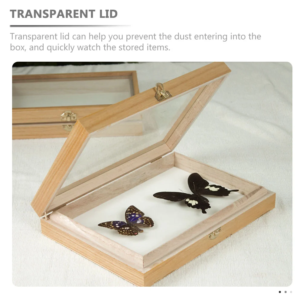 

Insect Display Case Wooden Butterflies Specimen Display Box Durable Vintage Specimen Case with Dustproof Transparent Cover