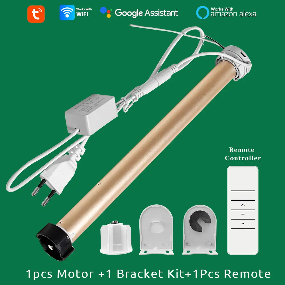 1 Motor kit and R1