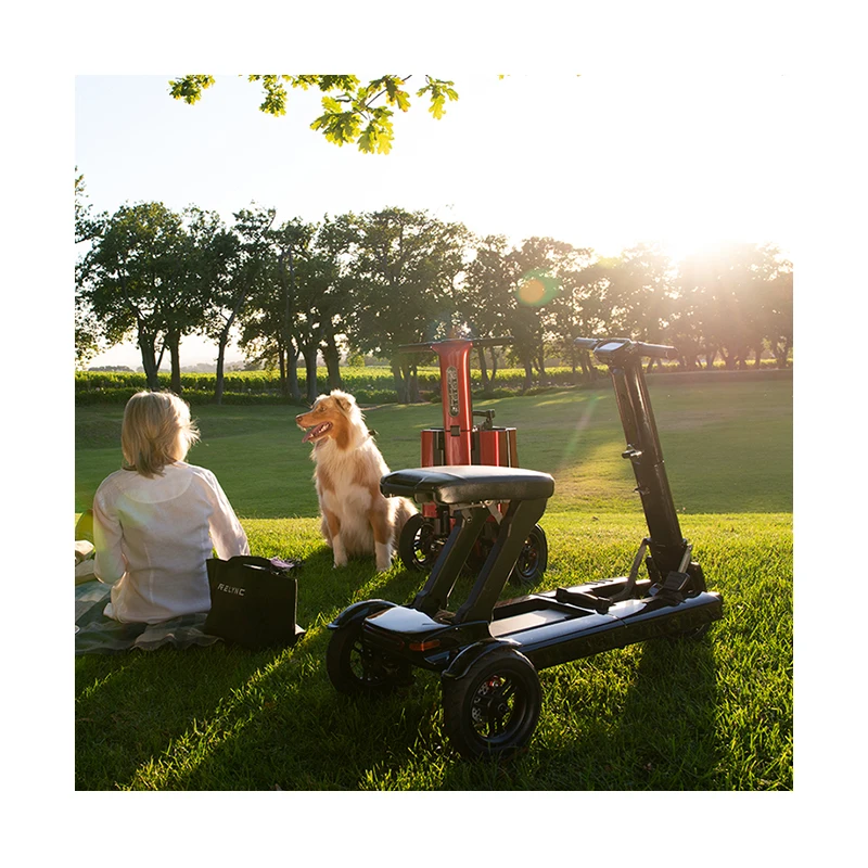 R1 Self-balancing 3 Wheel Electric Adult Scooter Elderly Mobility Scooter