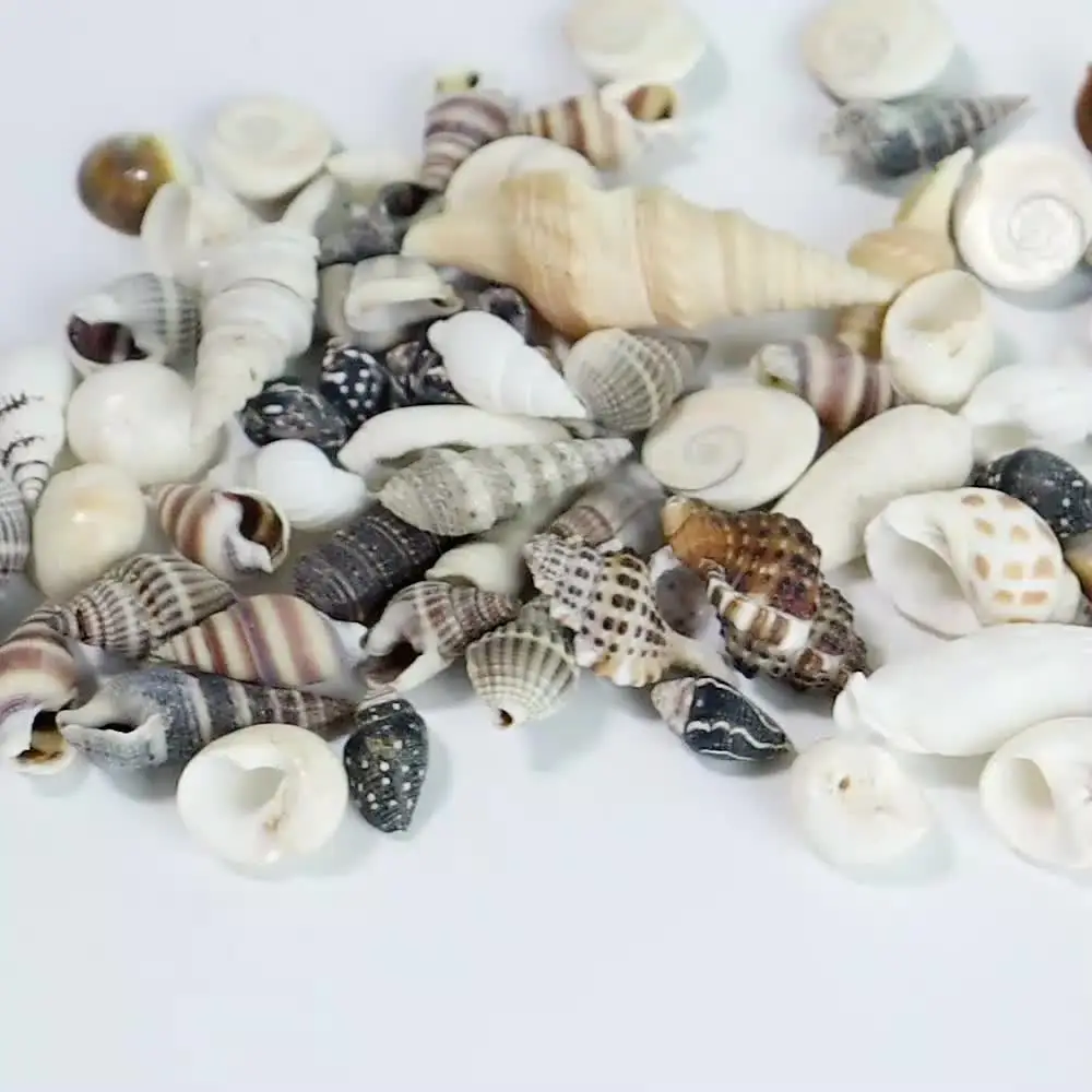 Perline Rotonde Sfuse In Legno Naturale A Righe, 6 Mm, 8 Mm, 10 - Foto 4