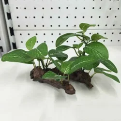 Aquarium Simulation Decorative Aquatic Plant and Wood Artistry (B length 14cm)