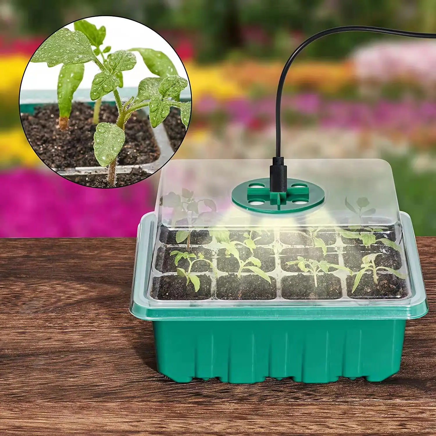 2022 12 Hole Seedling Trays Seed Starter Starter Plant Flower Grow Box Propagation For Gardening Grow Starting Germination Box
