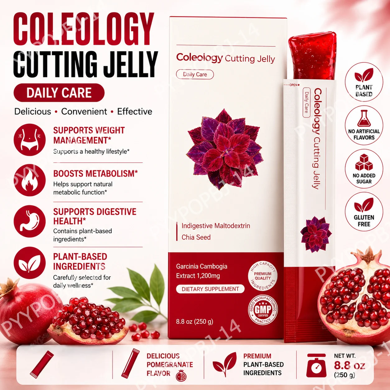 Pomegranate Flavored Wellness Jelly with Garcinia Cambogia Chia Seed Dietary Supplement 10 Sticks  Non-GMO Gluten Free