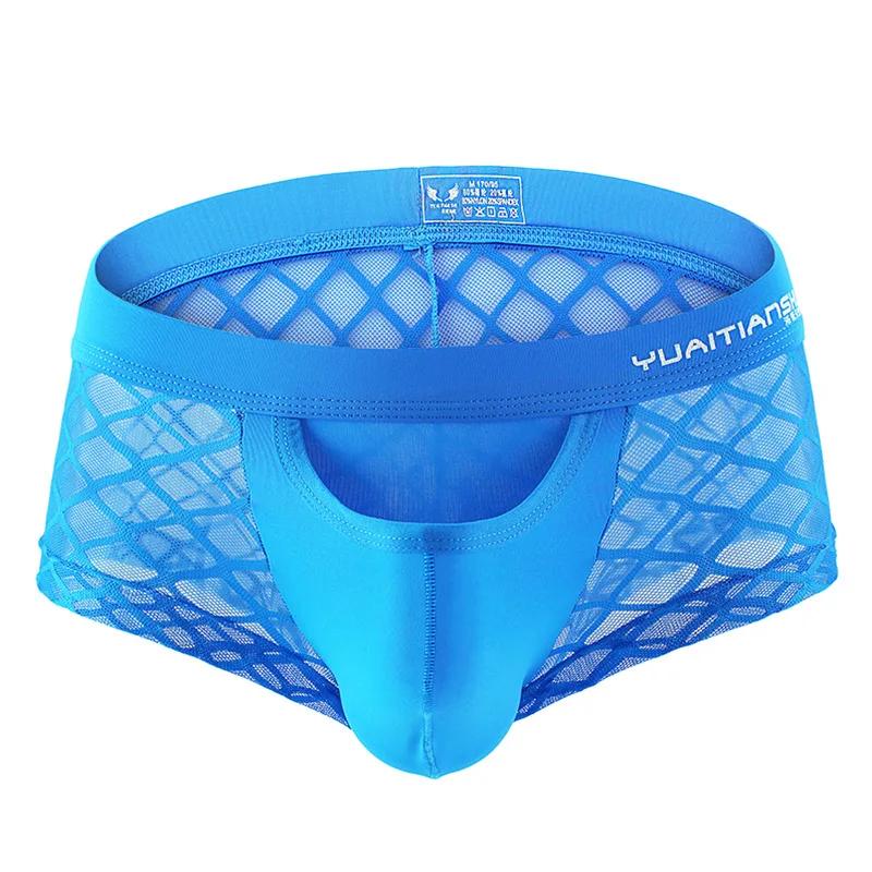 Intimo Uomo Sexy Mesh Plaid Gridding Trasparente Rigonfiamento Marsupio Bikini Boxer Slip Costumi Da Bagno Gay Mutande