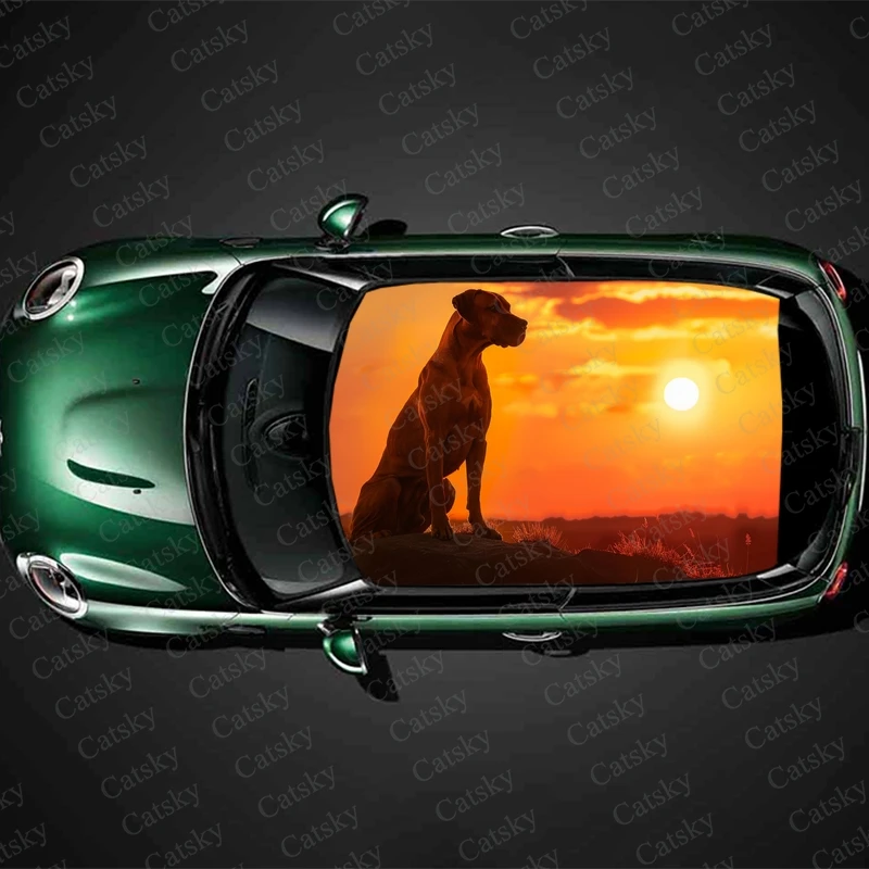 

Dog with Sunset Car Roof Sticker Wrap Racing SUV Accessories Packaging Painted PVC Custom Car Graphic Decal