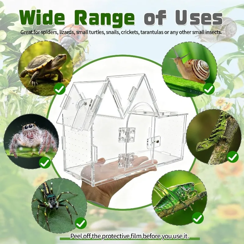 Transparent Acrylic Reptile Terrarium 3