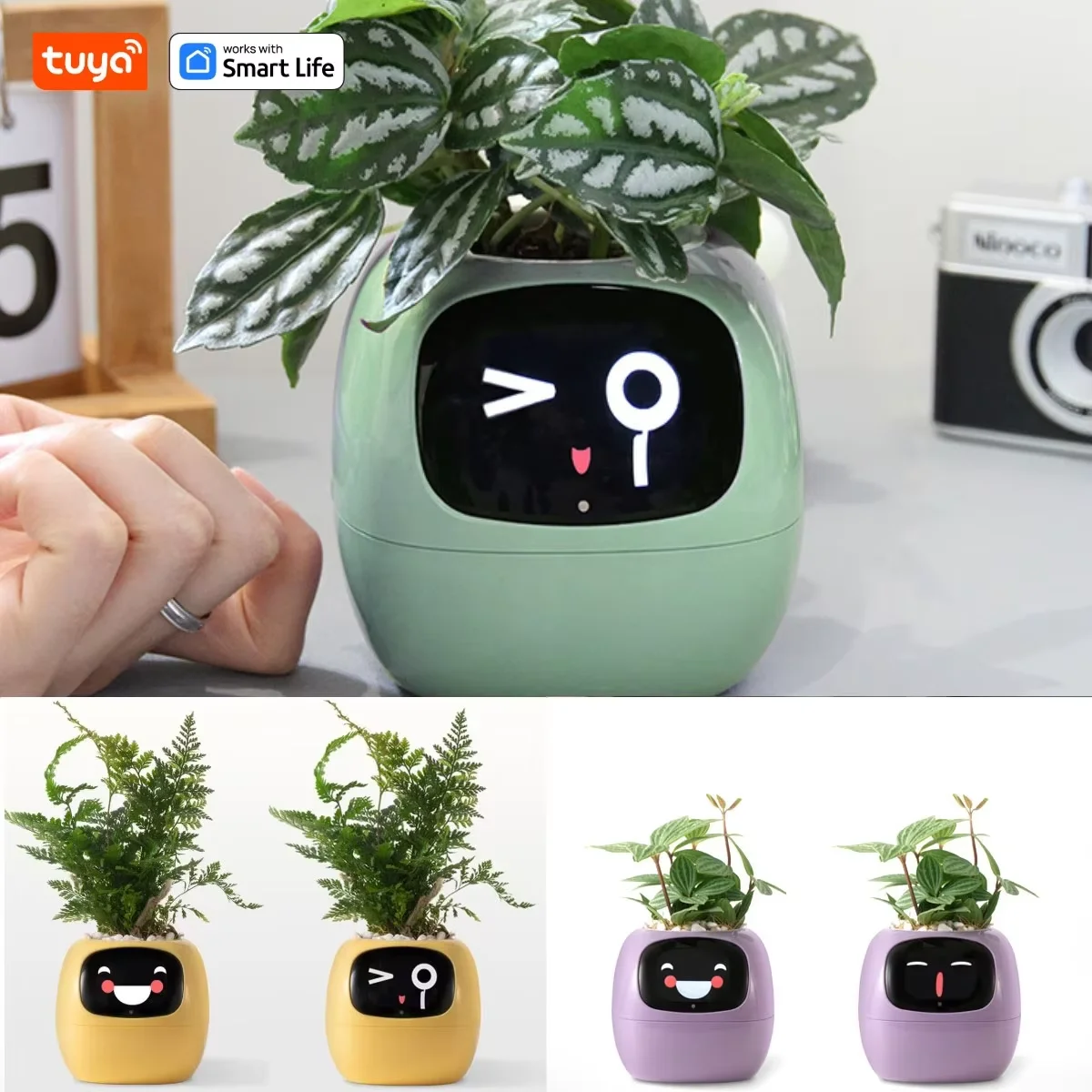 Discover the Rich Robot: A Smart and Cute Way to Care for Your Plants