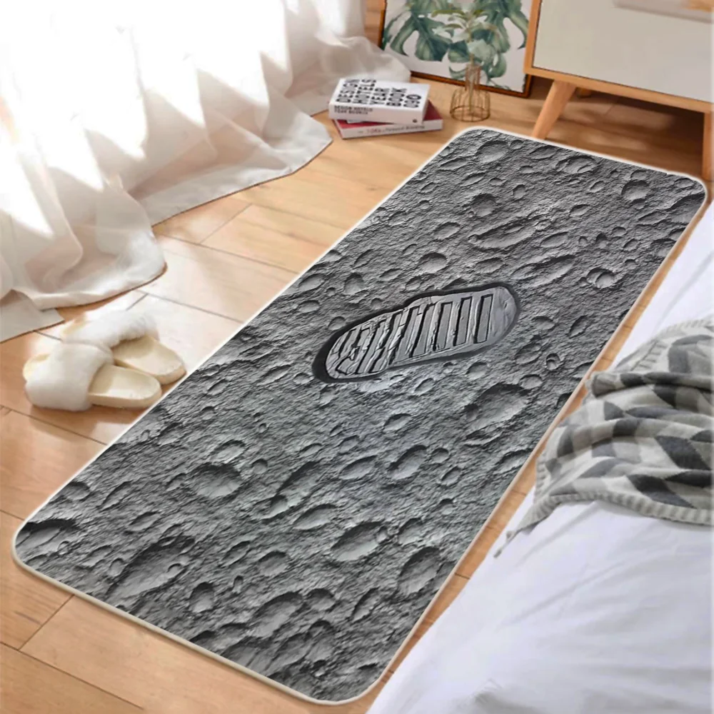 Loading on the Moon Outdoor Doormat Entrance to Home Carpet for Home Entrance Door Mat for Hallway on the Floor Living Room Mat 3