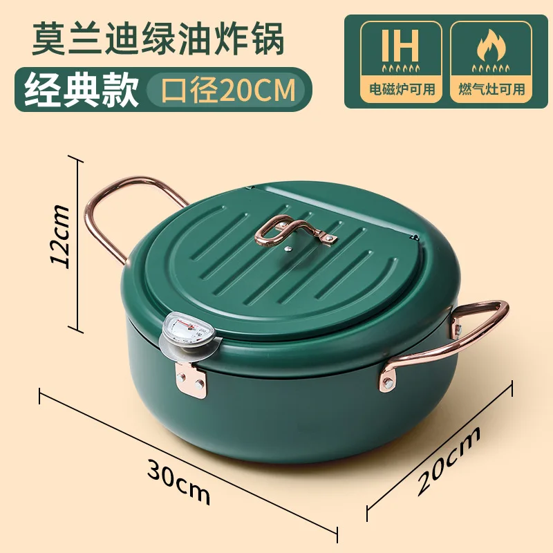 Friteuse domestique à température contrôlée, petite marmite à économie d' huile, mini friteuse spéciale, petit pot à huile de friture, 20cm -  AliExpress