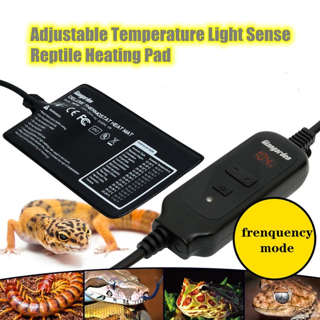 Terrarium Thermostat Digital LED Temperature Sensor Outlet Terrariums for  Reptiles Garden Farm Aquarium Warmth Thermostat Socket - AliExpress