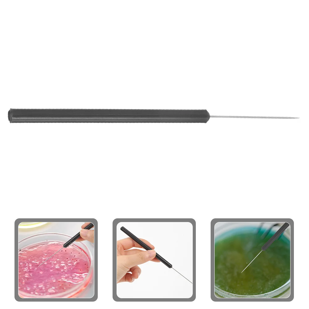 

Insect Dissecting Needle School Entomology Dissection Tool Accessories Anatomy Specimen Pins Inoculating