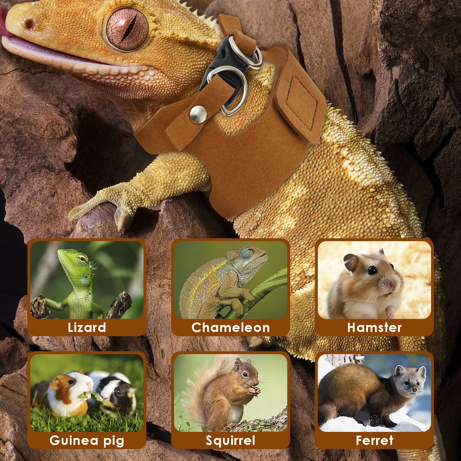 Lizard Harness Set - Adjustable Leash for Bearded Dragons  Reptiles