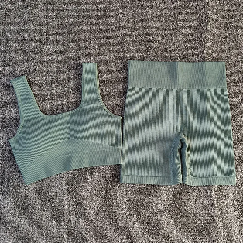 2 PCS Women Yoga Set Sporstwear Seamless Sexy Sport Bra with High Waist Shorts Gym Clothing Fitness Sleeveless Tracksuit