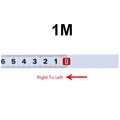 1M R-L