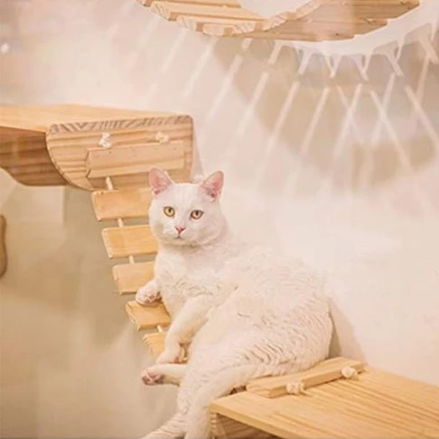 Cat Climbing Wall Type Combination Sisal Four-step Cat Stairs Cat Face New Pedal Solid Wood Cat Scratching Post Pet Furniture Cat Climbing Wall Type Combination Sisal Four-step Cat Stairs Cat Face New Pedal Solid Wood Cat Scratching Post Pet Furniture