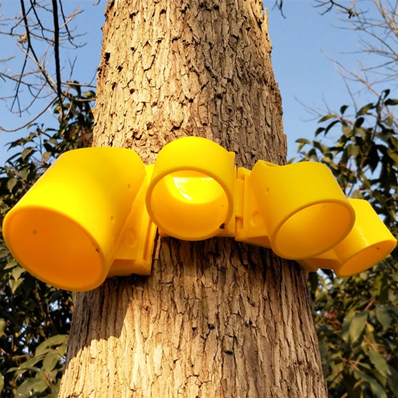 Plastic Plant Supports Plant Stakes Metal Plant Stand Plastic Plant Stand Wooden Plant Stand Practical Plant Support Frame Big Tree Growing Support Stakes Tripod Plastic Cups Landscaping Agricultural Tools Garden Supplies