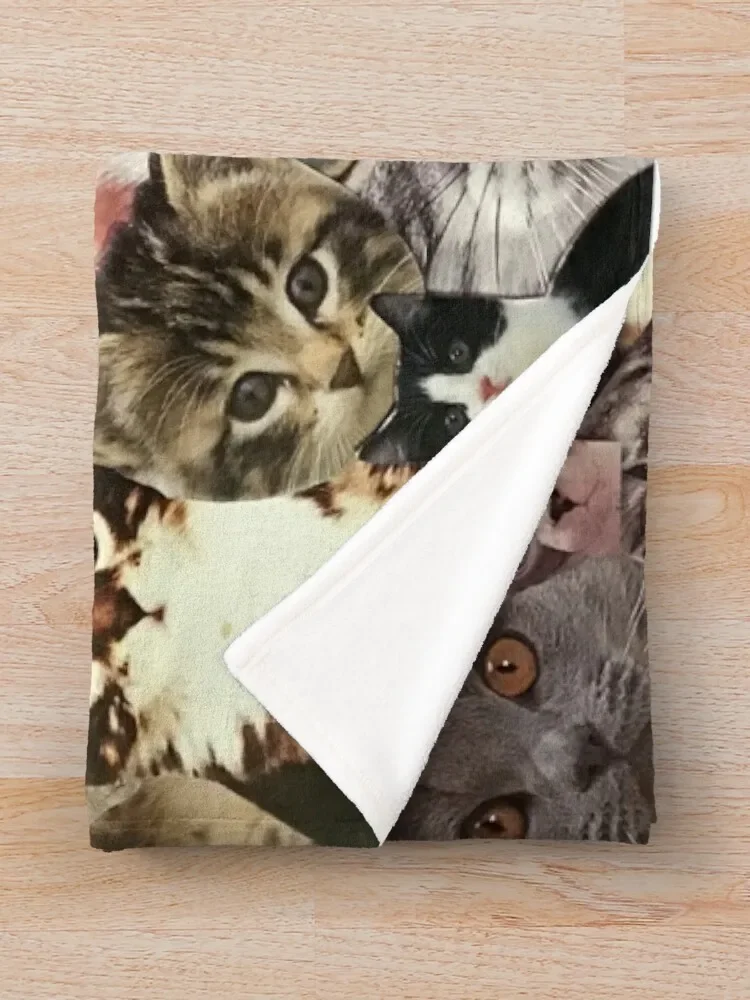 ������ �ݶ��� ������ ���, �̵� ħ�� ���, ����