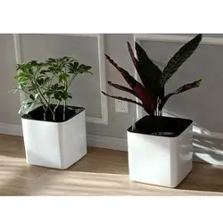 Sleek White Self-Watering Decorative Planter with Water Indicator (M)
