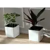 White Self Watering Planter, Water Indicator, Modern Decorative Planter Pot for all House Plants Flowers, Herbs, Vegetables 1