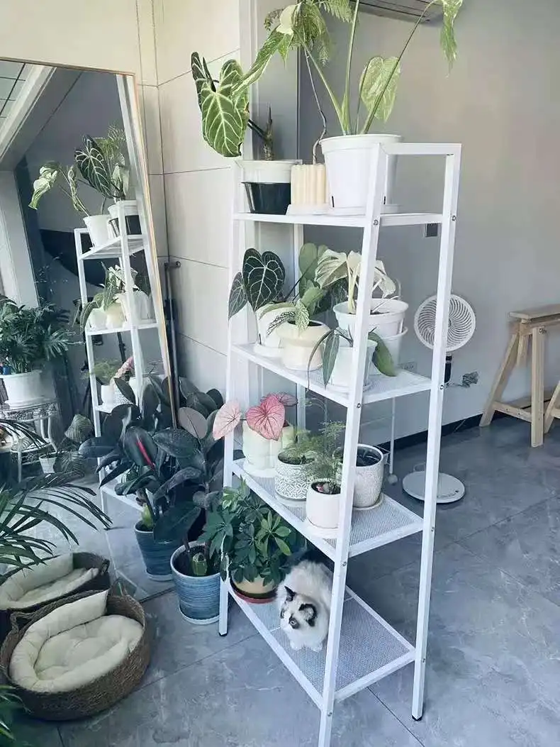 Multi-Tier Iron Plant Stand for Indoor and Outdoor Use Modern Flower Shelf Space-Saving Storage Rack for Balcony and Garden