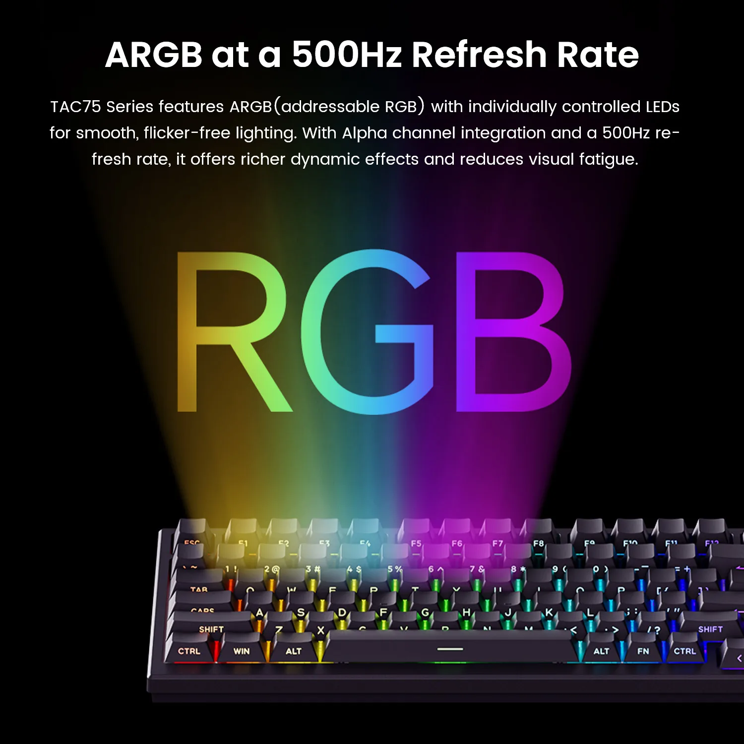 AKKO TAC75 HE Magnetic Switch Keyboard 75% Gaming Keyboards