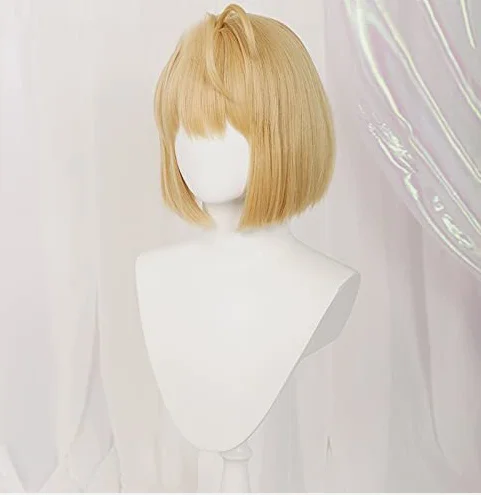  ׹ C_  ڽ  Arcueid Brunstad ǻ ׼
