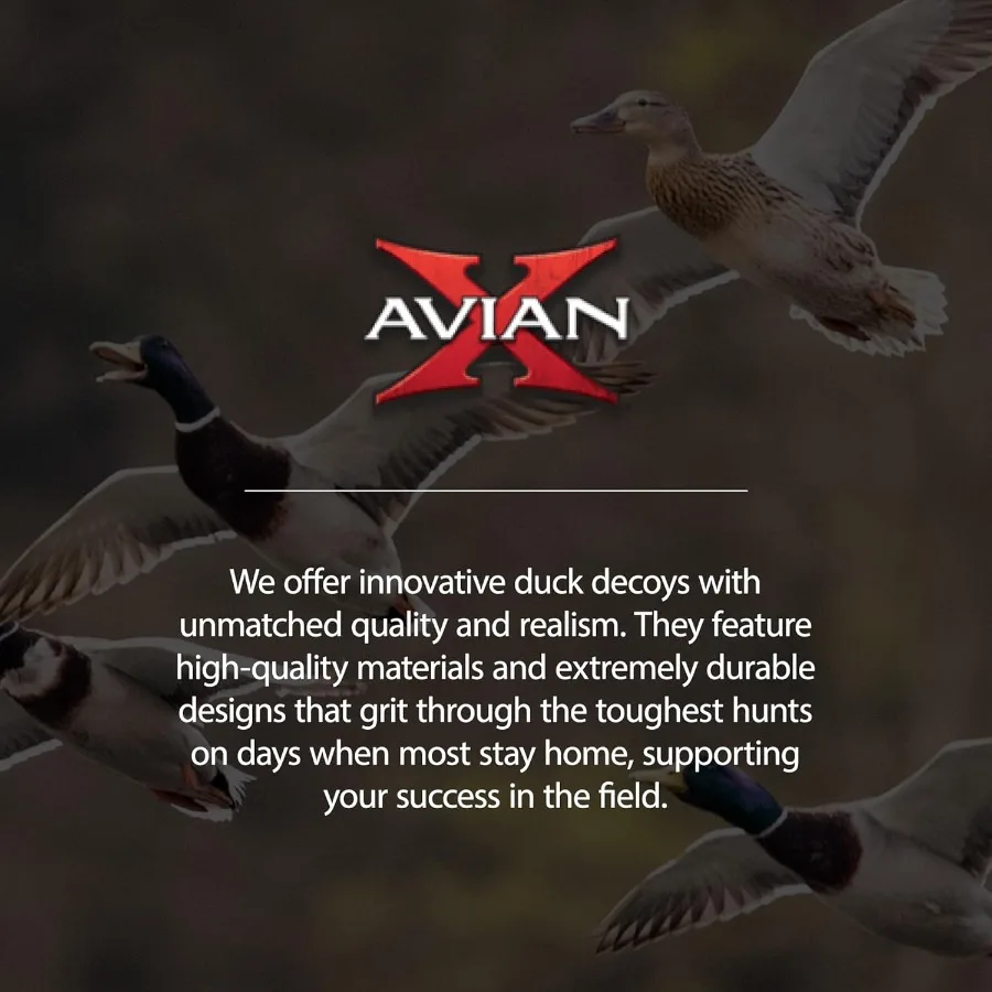 description