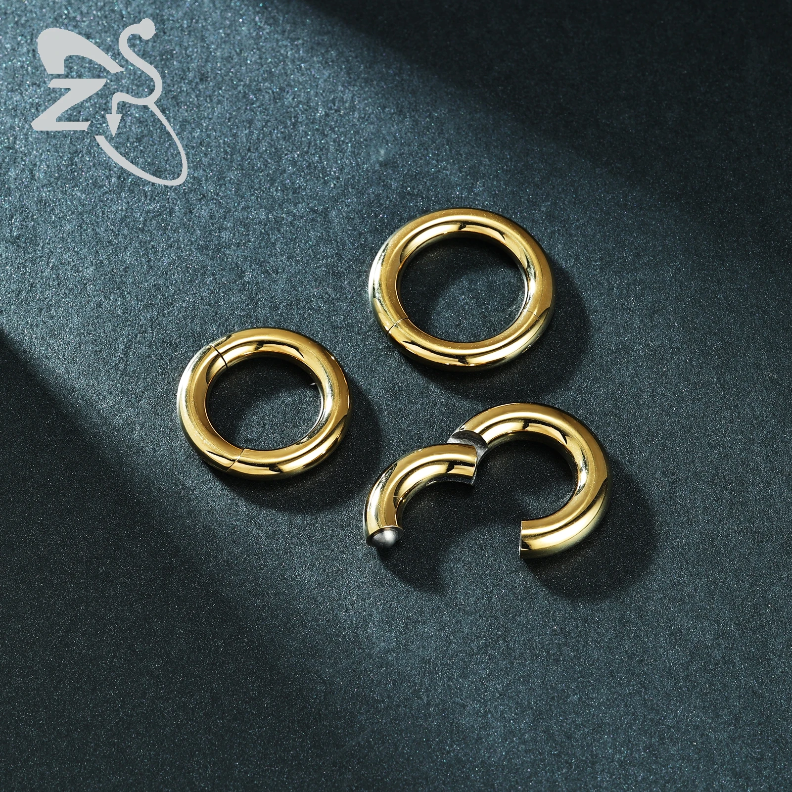 ZS 1PC G23 Titanium Hoop Earring for Women Gold Plated Circle Earring Large Gauge Nose Ring 2G/4G/6G/8G/10G/12G Punk Earrings 6