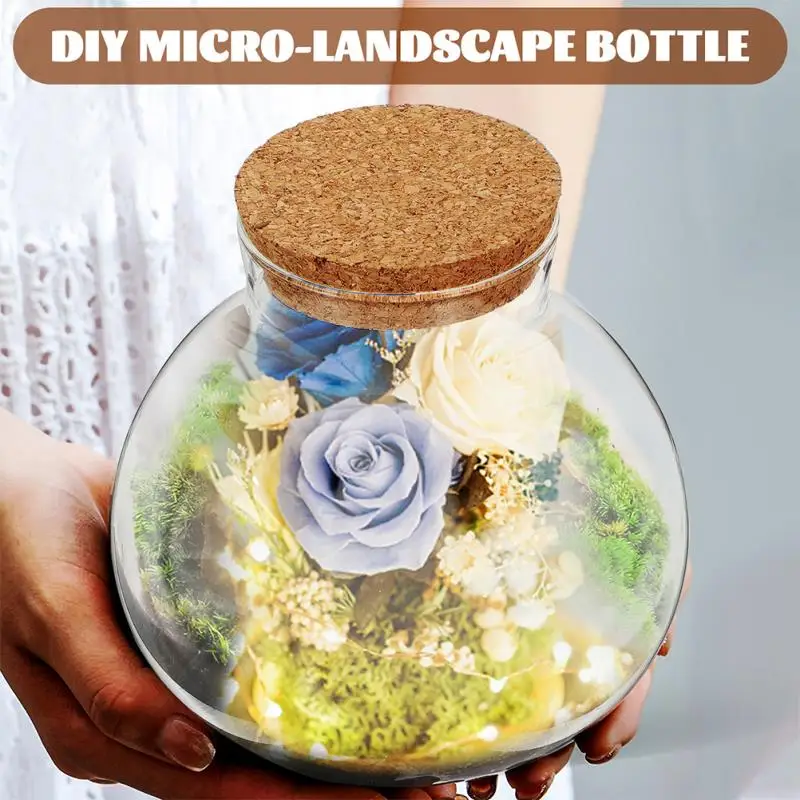 Description Picture 6 of itemDesktop Micro-landscape Bottle Vase Empty DIY Cork Plant Terrarium Decorative Landscaping Container Glass Jar with Lid