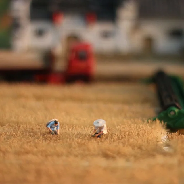 WJDG Model Model making paddy field series scene Model grass suitable for 1:72/1:87HO train sand table DIY miniature landscape 3