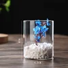 Transparent Glass Hydroponic Vase Modern Cylinder Flower Centerpiece Vases Use for Floral Wedding Home Decoration Candle Holders 3
