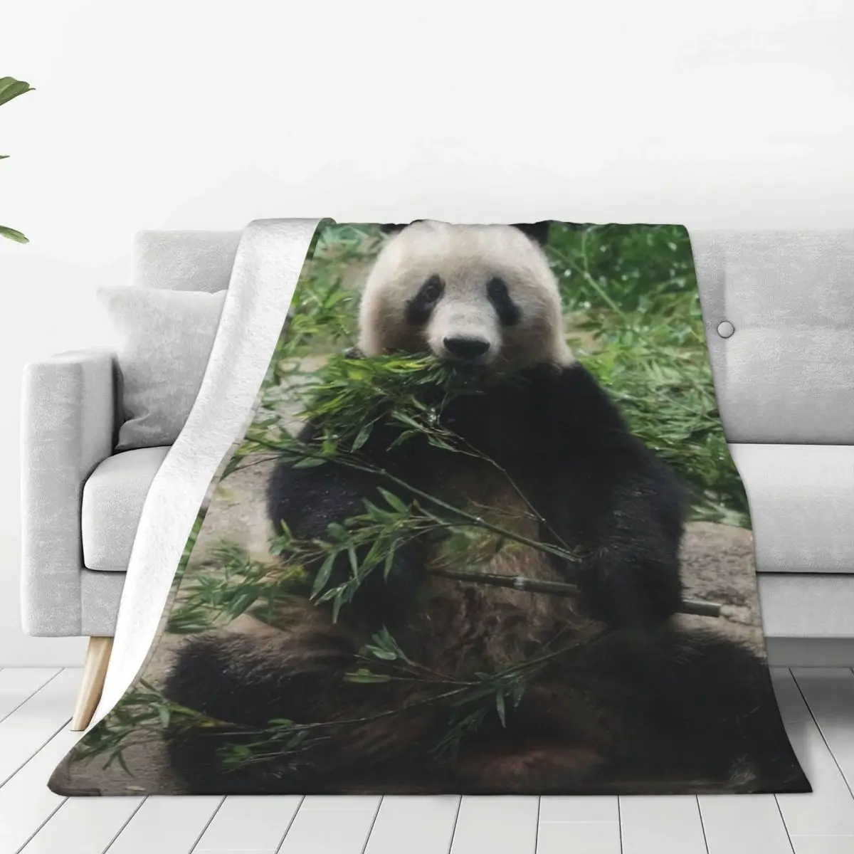 

Japanese Xiangxiang Panda Blanket Warm Cozy Anti-pilling Flannel Throw Blankets for Bedroom Home Decor