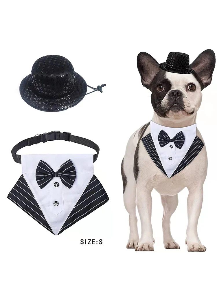 Large Black Dog Halloween Costumes 2022